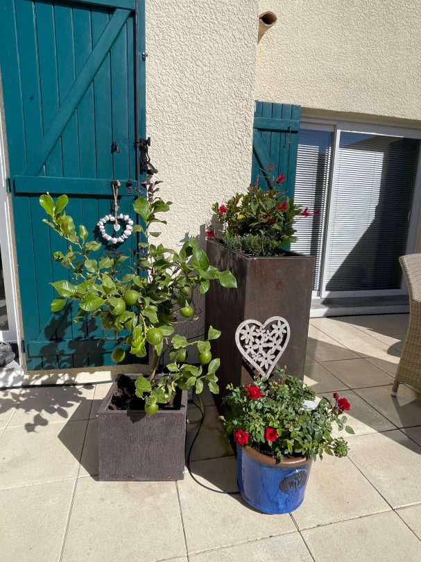 Terrasse Maison Lagune bleue Gruissan